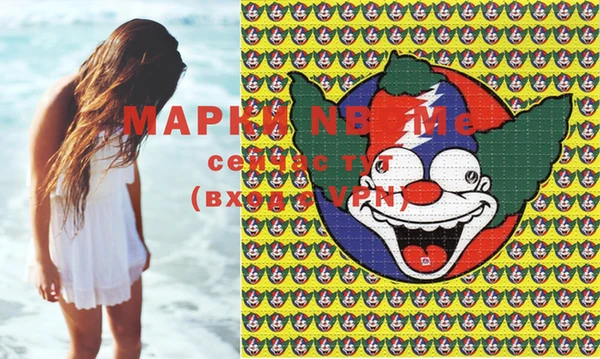 прущие грибы Вязники