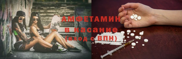 прущие грибы Вязники
