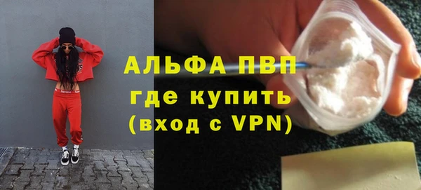 прущие грибы Вязники