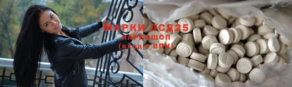 прущие грибы Вязники