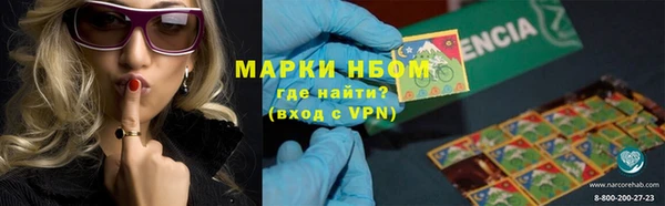 mdpv Вяземский
