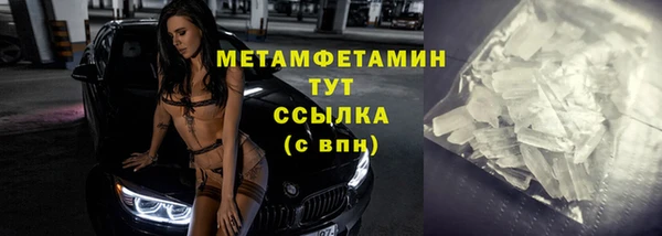 прущие грибы Вязники