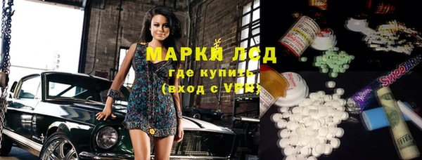 прущие грибы Вязники