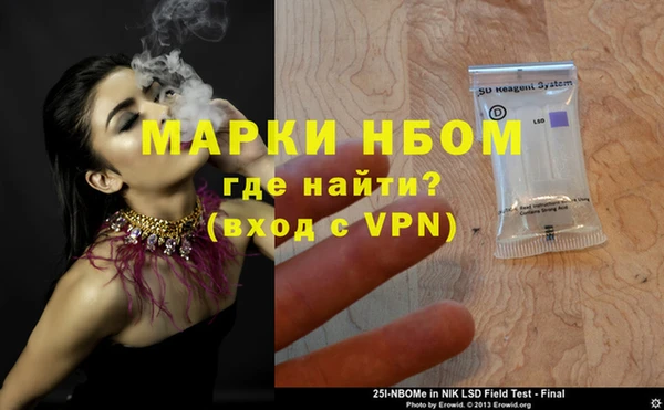 прущие грибы Вязники
