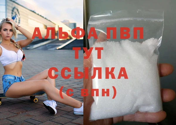 прущие грибы Вязники