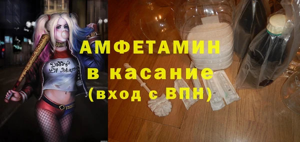 прущие грибы Вязники