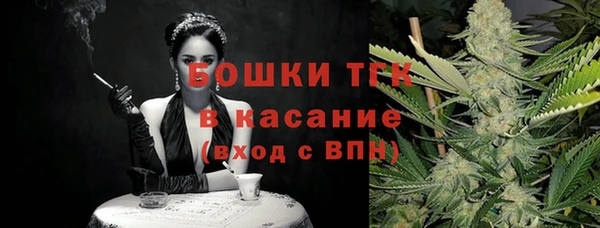 mdpv Вяземский