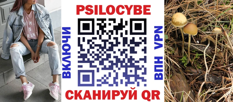 Галлюциногенные грибы мухоморы  дарнет шоп  Чёрмоз 